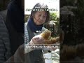 「これほどぜいたくなものはない」84歳夫婦の心豊かな森の暮らし。自家製ハチミツと手作りベーコン|優しい時間 豊かな暮らし