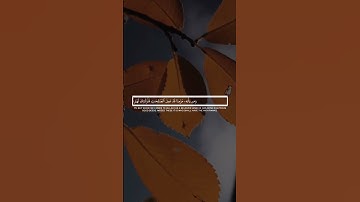 #ياسر_الدوسري #تلاوات #آيات #القرآن_الكريم #قرآن #تلاوة #قران_كريم #قران #القرآن #قرآن_كريم #quran