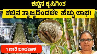 Sugarcane Waste to Biodegradable Cups & Plates | Sugarcane Farming | Sugarcane Waste Byproducts