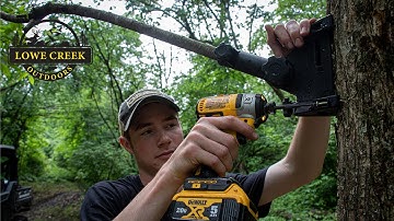 Creating Mock Scrapes Using Vines and Tree Mounts From Scrape Fix