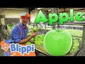 Learning healthy eating for kids with blippi at the apple factory   educationals for toddlers