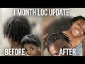 1 MONTH LOC UPDATE+MY FIRST RETWIST ON STARTER LOCS! | Chronicles of a Zoe
