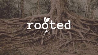 Rooted Bumper