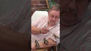 Sweet Man Feeds Four Baby Goldfinches