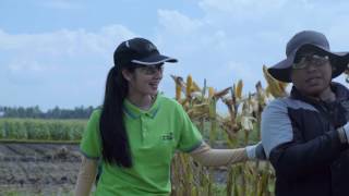 Dupont Pioneer Indonesia Company Profile