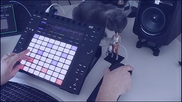 Expressive E Touche with Ableton Live Push 2