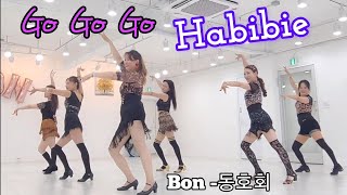 Go Go Go Habibie - Line Dance (Demo) Improver