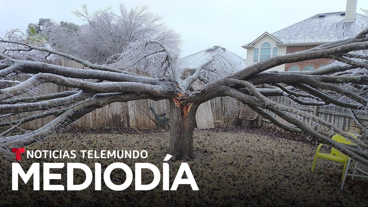 Impresionante imagen de un árbol colapsado por el hielo | Noticias Telemundo