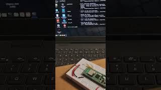 Adding Pico 2 W LED control to WiFi Shell (Zephyr RTOS)