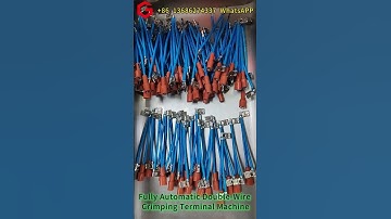 Fully Automatic Double Wire Crimping Terminal Mach #wireharnessmachine#terminalcrimpingsupplier