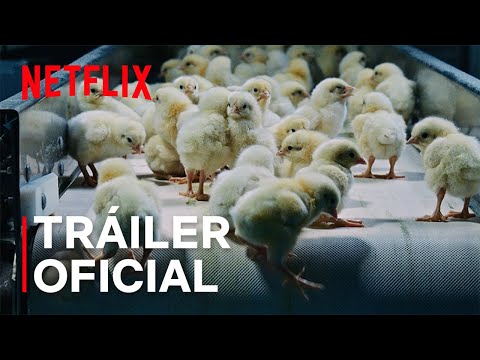 Intoxicación: La cruda verdad sobre nuestra comida | Tráiler oficial | Netflix