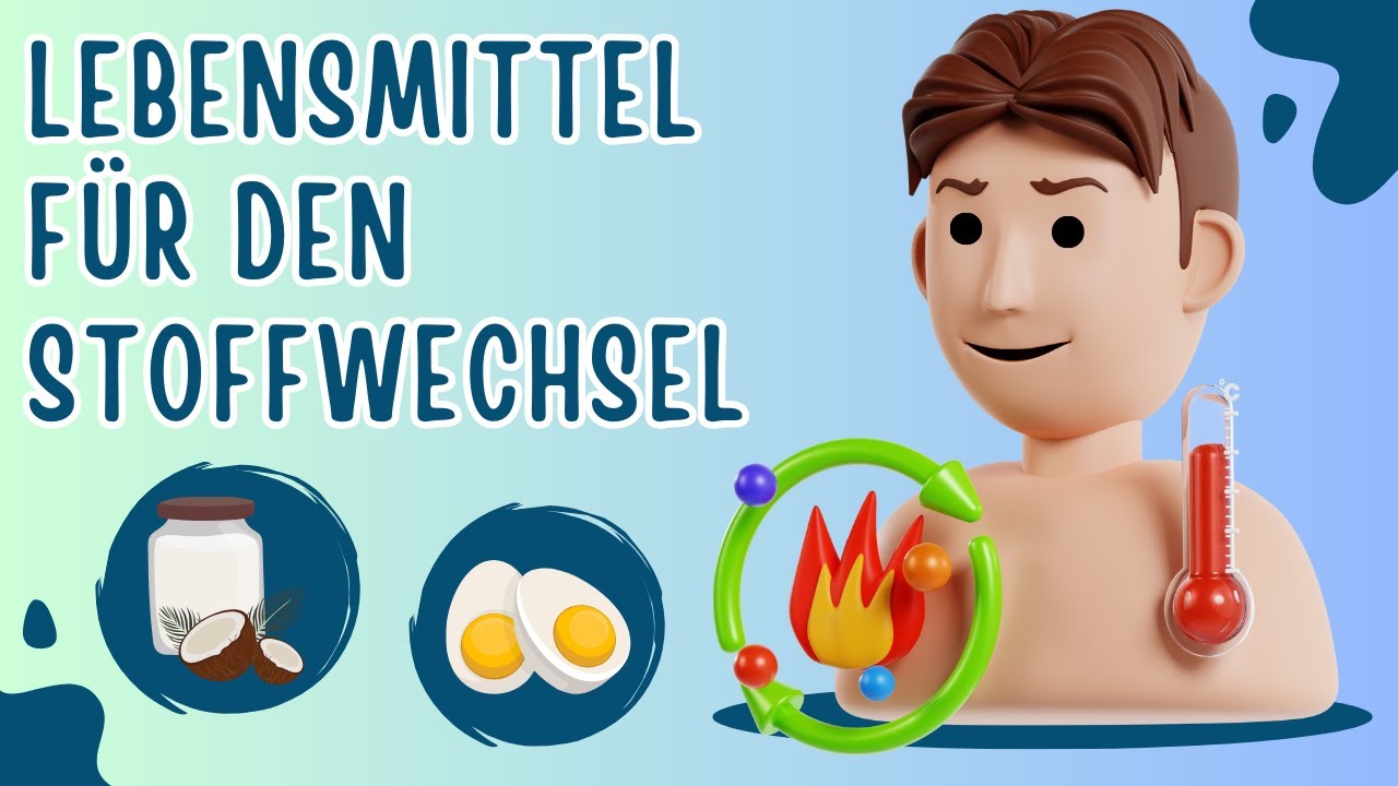 Fatburner aus dem Kühlschrank: Top 5 Lebensmittel zur Fettverbrennung \u0026 zum Stoffwechsel ankurbeln!