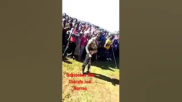 Qabsookee Hin Sharafu Haga Xurii Qeensaayyuu Jaal Marroo 