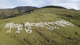 一个人自驾游到阿坝州大山上，看见非常神奇的藏文