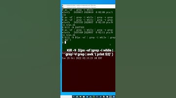 Linux: kill -9 PID of Run-Away or Infinite Loop