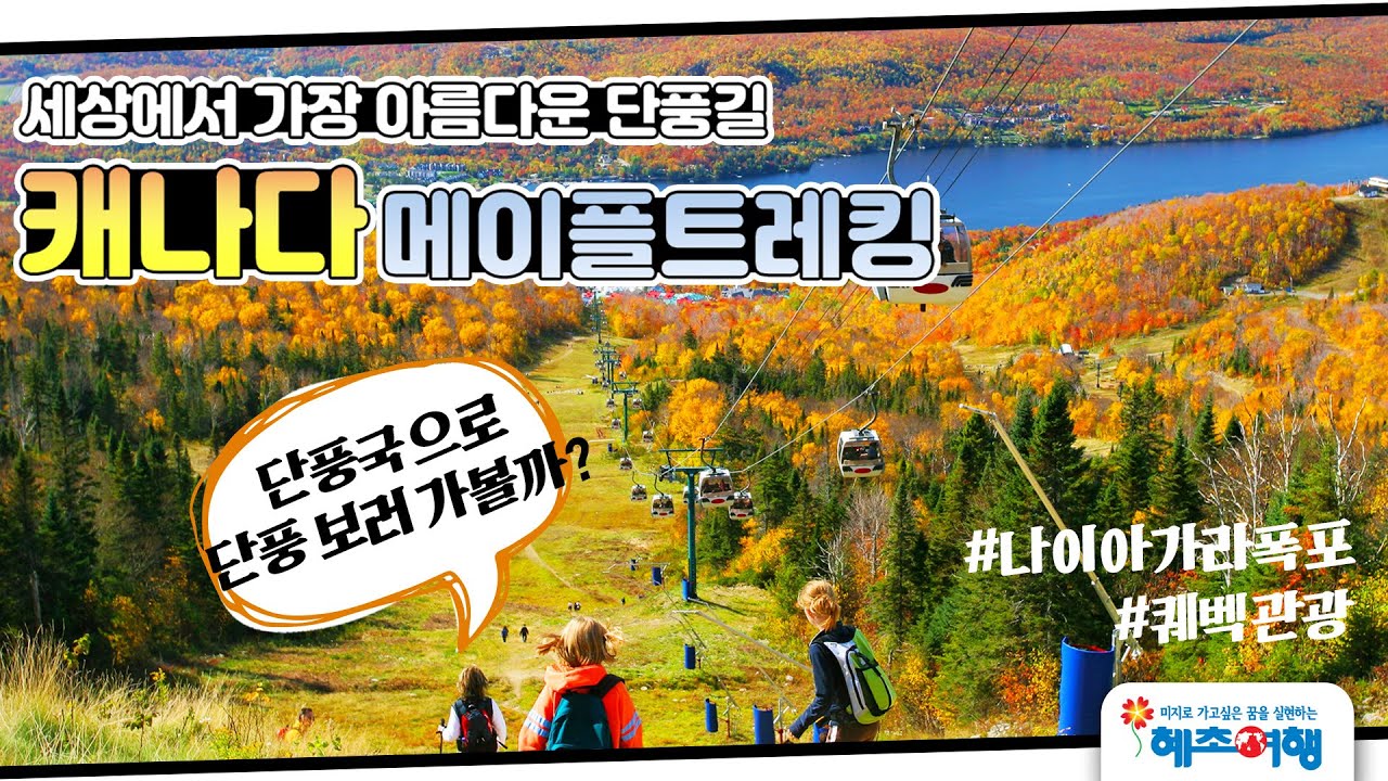 캐나다 동부 여행코스 추천' 메이플로드 단풍트레킹&나이아가라폭포 관광 - YouTube 캐나다 동부 여행코스 추천' 메이플로드 단풍트레킹&나이아가라폭포 관광 - Youtube