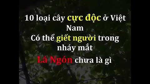 10 loại cây cực độc ở Việt Nam có thể giết người trong nháy mắt