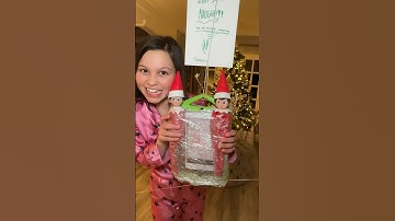 They got in BIG trouble 😬 #shorts #sacconejolys #jonathanjoly