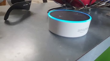 Crazy Alexa delivery notification.
