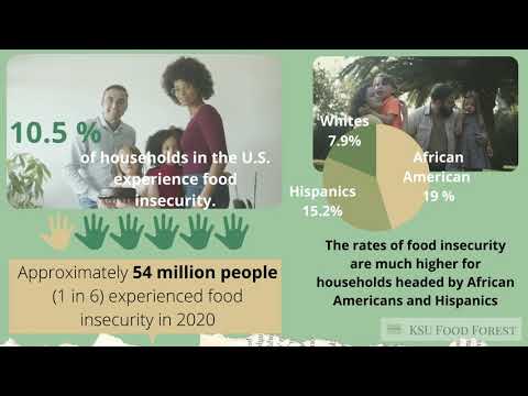 Food Insecurity and its links to Racial Disparities