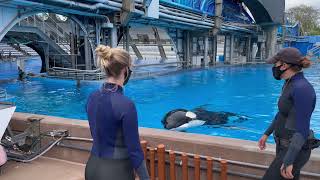 SeaWorld Orlando Orca Whales backstage at Inside Look - November 11th, 2020