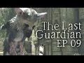 The last Guardian Pt 9 (Catapulta Instantánea)
