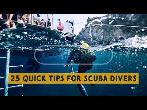 Scuba Diving Basics: 25 Top Tips That Will Make You A Better Scuba Diver