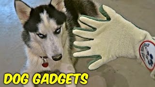 7 Dog Gadgets Put to the Test