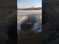 водохреща 2019 