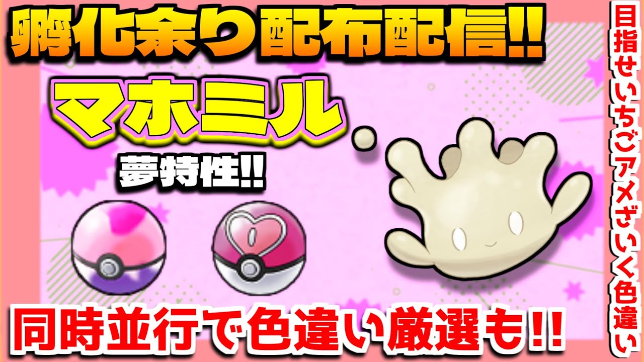 ポケモン配布 初見さん歓迎 オシャボ入り マホミル 孵化余り配布 色違い厳選配信 ポケモン剣盾 色違い厳選 Youtube ポケモン配布 初見さん歓迎 オシャボ入り マホミル 孵化余り配布 色違い厳選配信 ポケモン剣盾 色違い厳選 Youtube