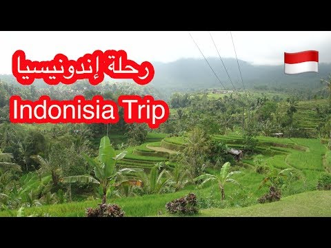 رحلة إندونيسيا | Indonesia Trip