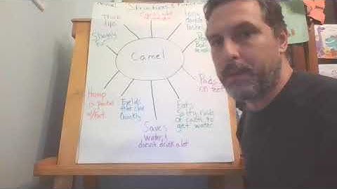 Animal Structures and Function