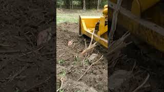 #shorts #caterpillar D2 Ripping Tree Roots