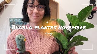 blabla plantes fin novembre !