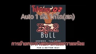 Project Weed 1 plant 1 kg (fresh). - EP.02 การย้ายกระถาง (how to move pots)