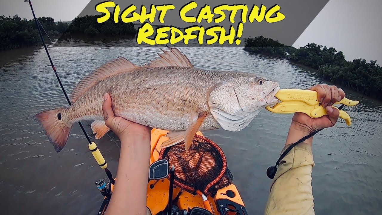 Sight Casting Redfish Kayak Fishing South Padre Island with AM Lures