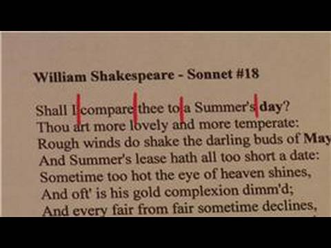 Write a sonnet