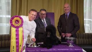 Westminster top dog Sage enjoys a champion's lunch at Bar Boulud