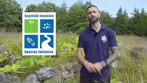 Scottish Invasive Species Initiative - Giant Hogweed Trial Project.