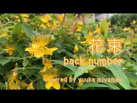 【女性が歌う】花束 / back number《Covered by yuuka miyamae》