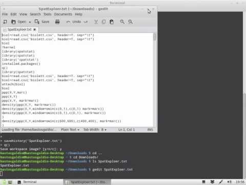Saving your R command line history