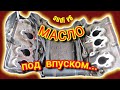 Откуда течи и подсосы на Ауди - забавные бульбашки