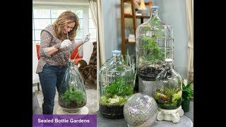 CLOSED TERRARIUM DIY : SEALED BOTTLE GARDENS  Closed Terrarium Plants Shirley Bovshow