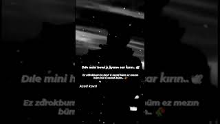 Kürtçe En Güzel Anlamlı Kısa Duygusal Sözler Azad Kavri Official Helbest Kürtçe Duygusal Sözler