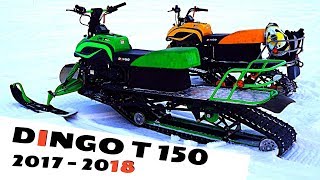Доработки снегохода Irbis DINGO T 150 или каким бы мог быть Ирбис Динго Т 150  2018.