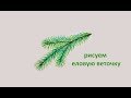Как нарисовать ЕЛОВУЮ ВЕТОЧКУ! Учимся РИСОВАТЬ ветку ели! draw spruce twig