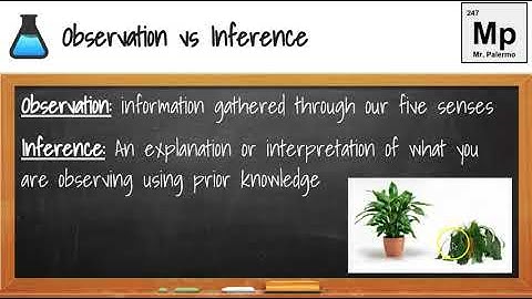 Lesson 1 1 Nature of Science