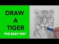 Draw a tiger  easy stepbystep drawing lesson for beginners on how to draw a tiger
