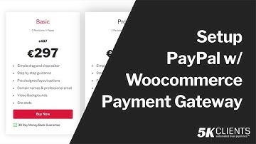 How to setup a Paypal + Woocommerce Payment Gateway [Free Wordpress Site Included]