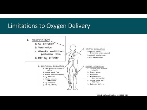2.1-Respiratory Physiology 2 ventilation perfusion scan